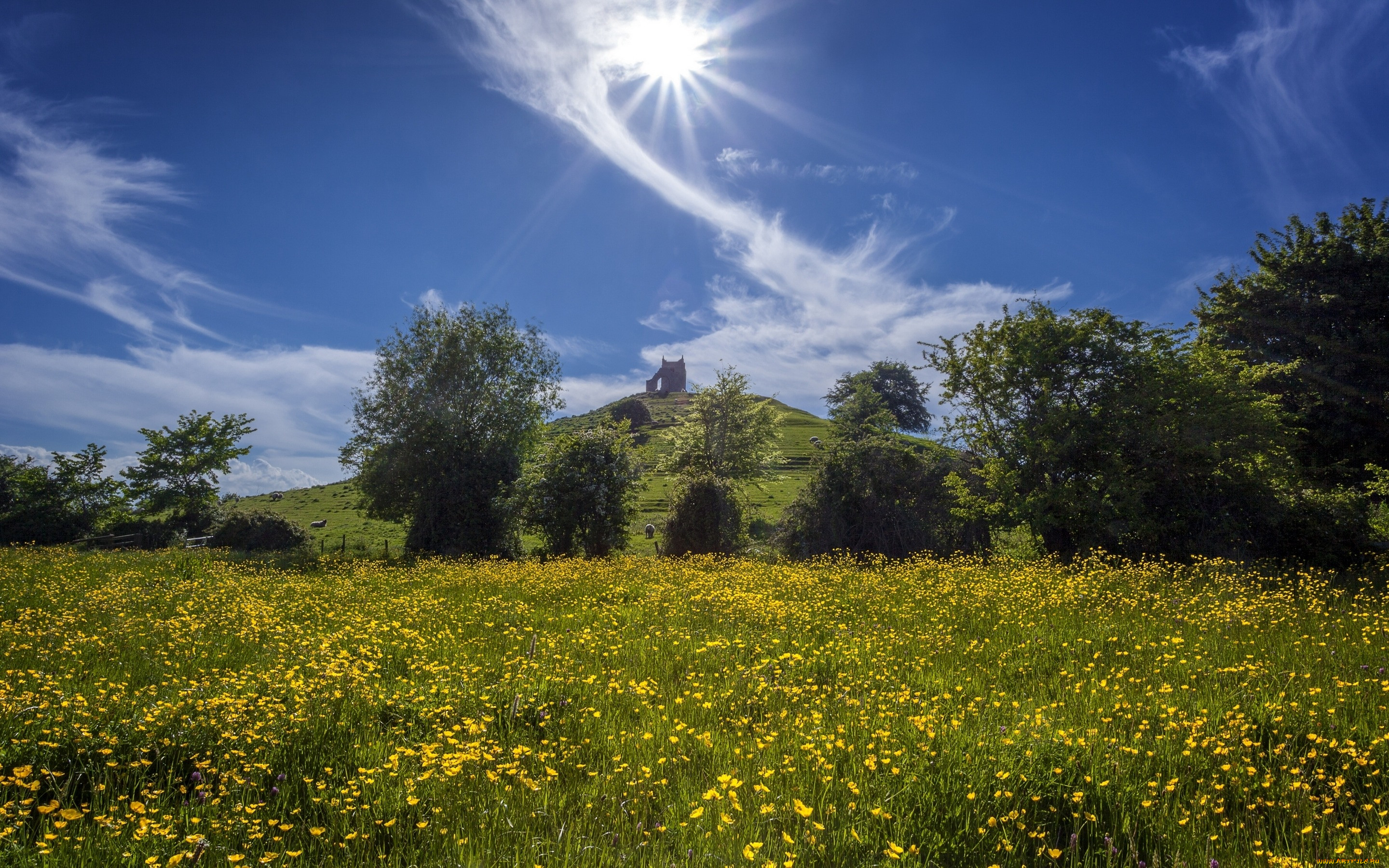, , , , , , , , , , , , , burrow, mump, somerset, england, burrowbridge